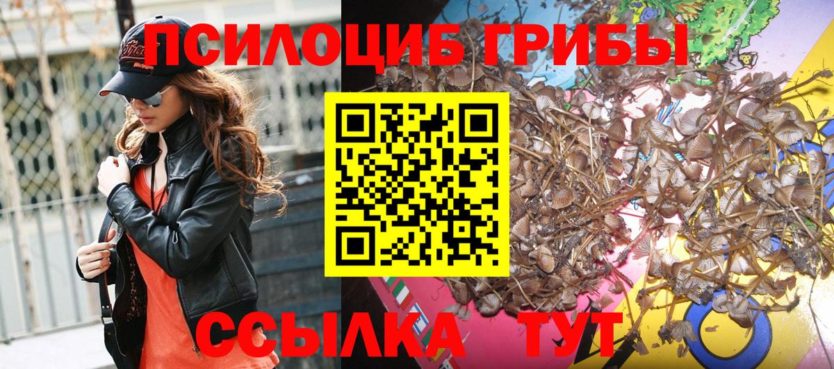 Чайковский  Псилоцибиновые грибы мицелий  Вход с VPN 