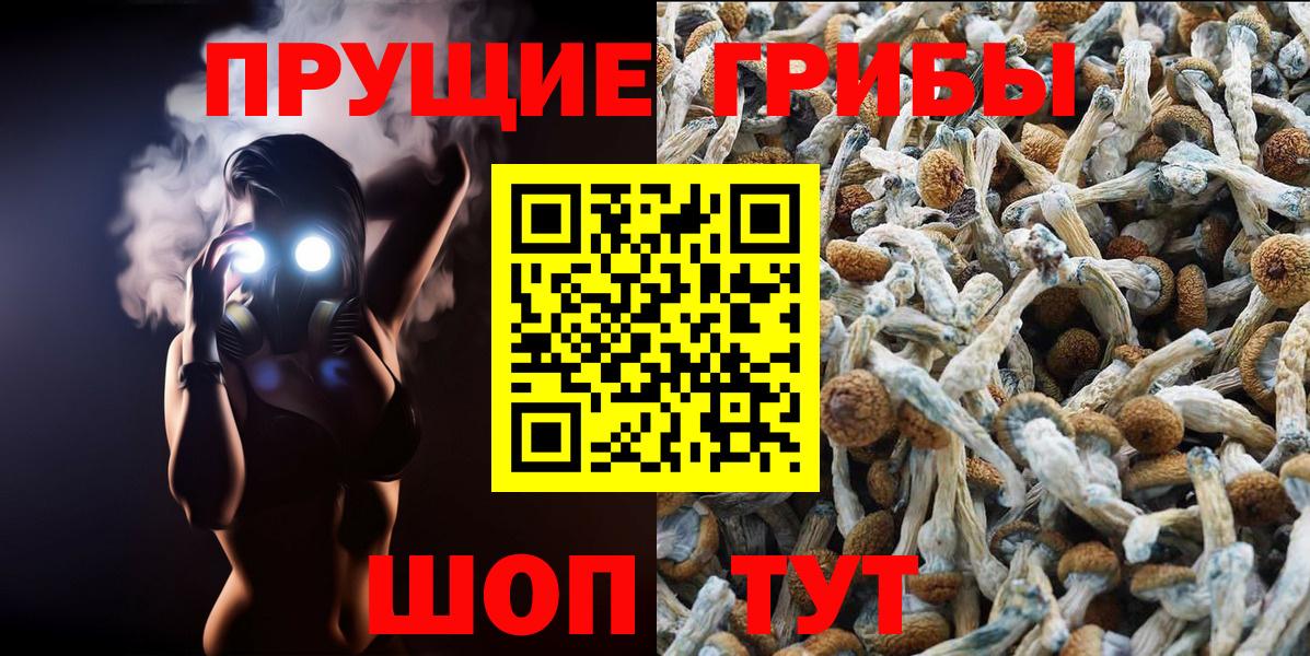 Псилоцибиновые грибы ЛСД Чайковский